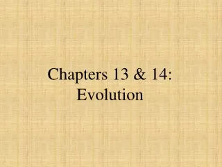 Chapters 13 &amp; 14: Evolution