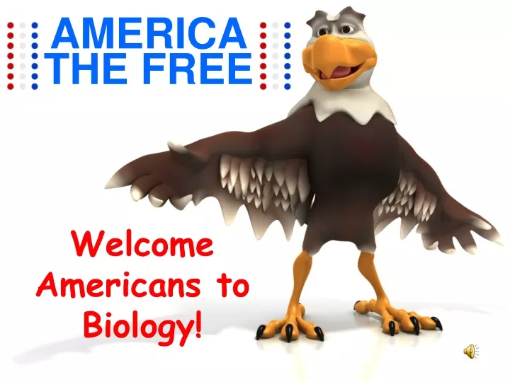 america the free