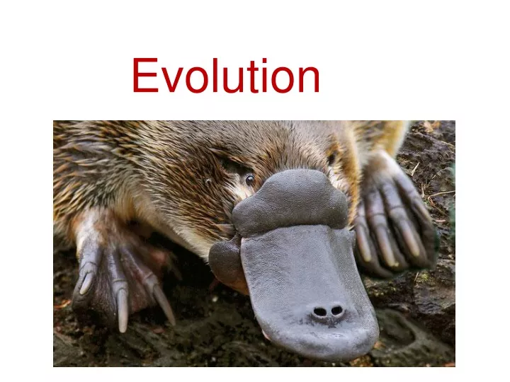 evolution