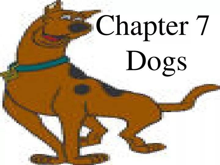 chapter 7 dogs