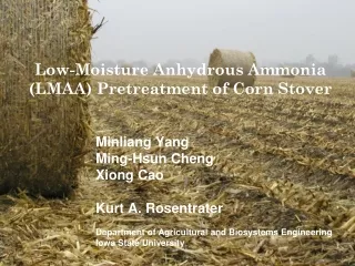 Low-Moisture  A nhydrous  A mmonia  (LMAA) Pretreatment of Corn  S tover