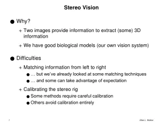Stereo Vision