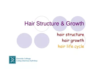 Hair Structure &amp; Growth