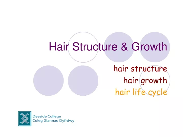 hair structure growth