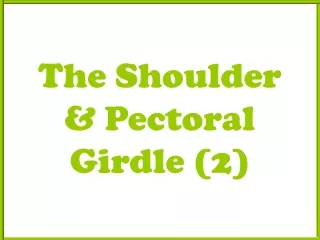 The Shoulder &amp; Pectoral Girdle (2)