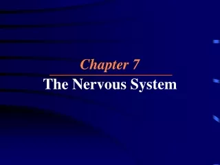 Chapter 7 The Nervous System