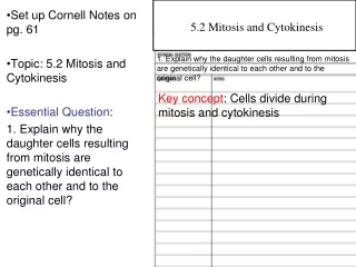 Set up Cornell Notes on pg. 61 Topic: 5.2 Mitosis and Cytokinesis Essential Question :