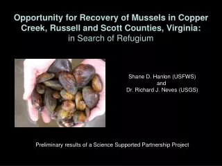 Opportunity for Recovery of Mussels in Copper Creek, Russell and Scott Counties, Virginia: