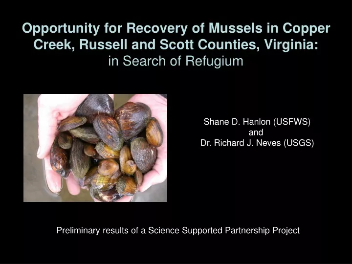 opportunity for recovery of mussels in copper