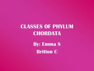 CLASSES OF PHYLUM CHORDATA