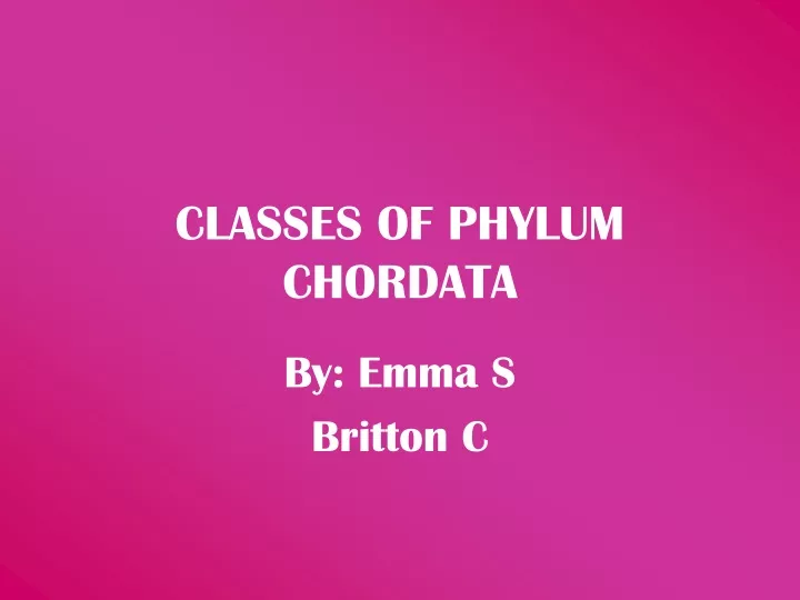 classes of phylum chordata