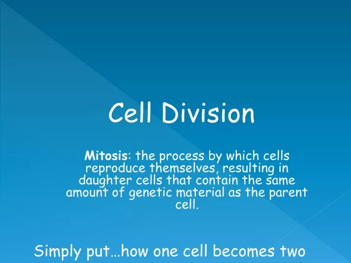 cell division