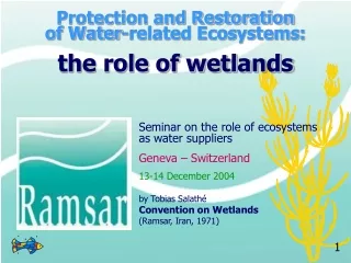 Protection and Restoration  of Water-related Ecosystems: the role of wetlands