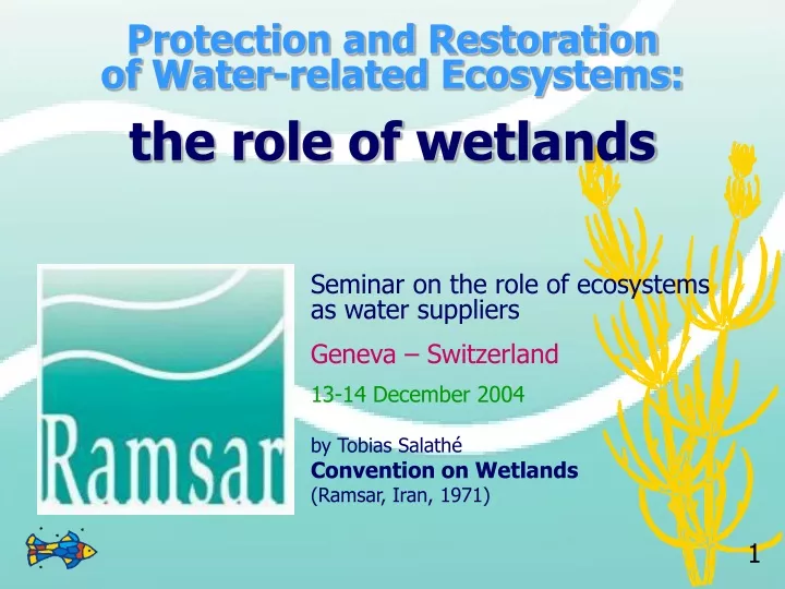 protection and restoration of water related ecosystems the role of wetlands