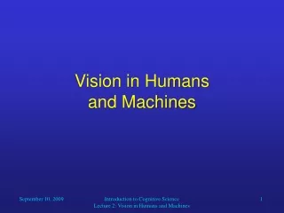 Vision in Humans  and Machines