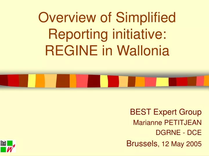 overview of simplified reporting initiative regine in wallonia