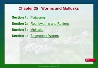 Chapter 25   Worms and Mollusks