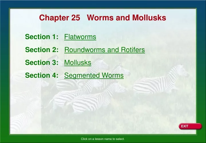 chapter 25 worms and mollusks