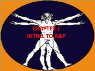 CHAPTER 1  INTRO. TO A&amp;P