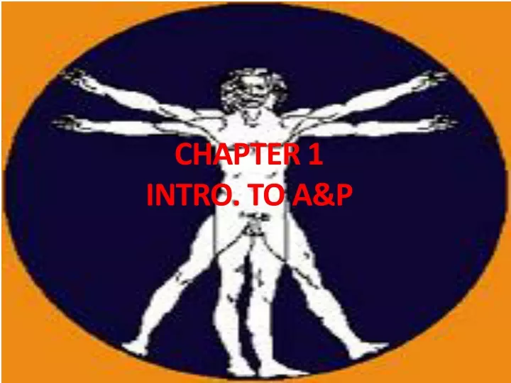 chapter 1 intro to a p