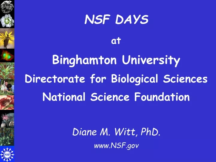 nsf days at binghamton university directorate