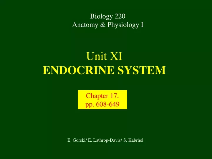 unit xi endocrine system