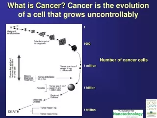 What is Cancer?  Cancer is the evolution of a cell that grows uncontrollably