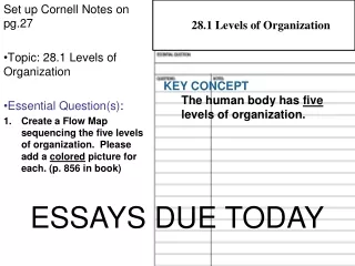 Set up Cornell Notes on pg.27  Topic: 28.1 Levels of Organization Essential Question(s) :
