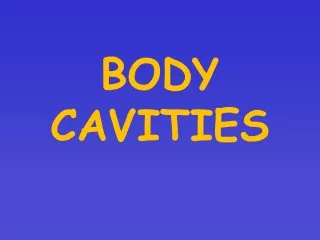 BODY CAVITIES