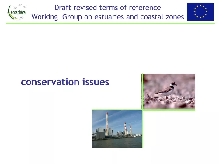 draft revised terms of reference working group on estuaries and coastal zones