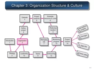 Chapter 3: Organization Structure &amp; Culture