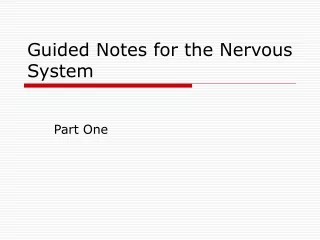 Guided Notes for the Nervous System