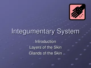 Integumentary System