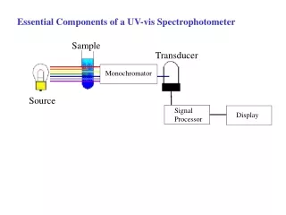 Essential Components of a UV-vis Spectrophotometer