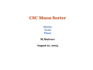 CSC Muon Sorter Status Tests Plans M.Matveev August 21, 2003