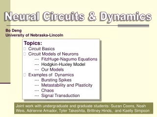 Neural Circuits &amp; Dynamics