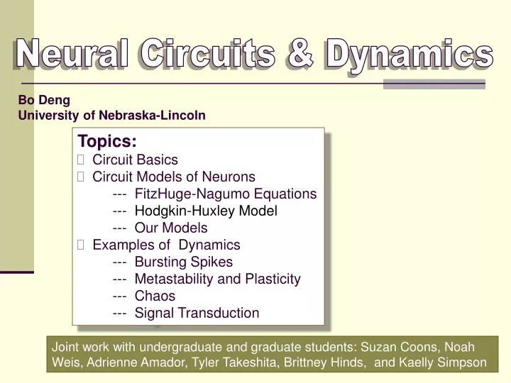 neural circuits dynamics