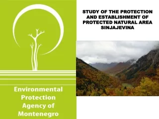 STUDY OF THE PROTECTION AND ESTABLISHMENT OF PROTECTED NATURAL AREA SINJAJEVINA