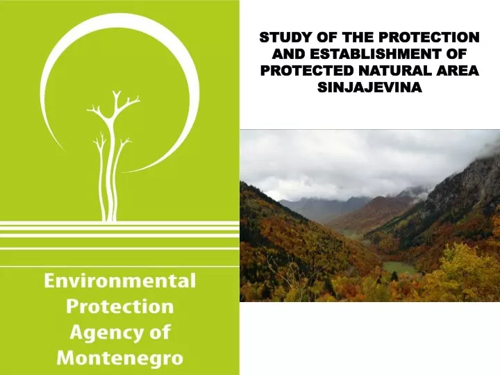 study of the protection and establishment of protected natural area sinjajevina