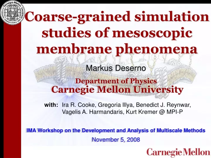 coarse grained simulation studies of mesoscopic