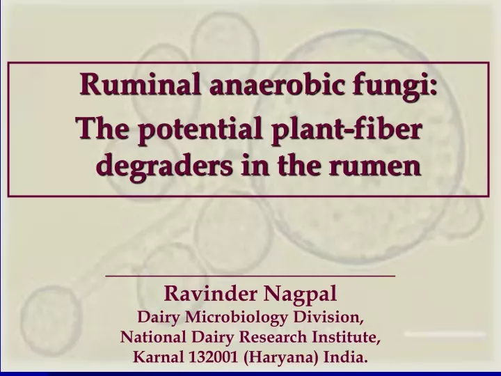 ruminal anaerobic fungi the potential plant fiber