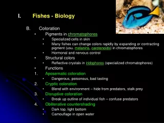 Fishes - Biology Coloration Pigments in  chromatophores Specialized cells in skin