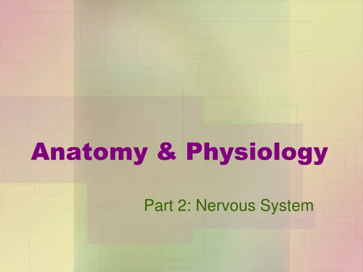 anatomy physiology