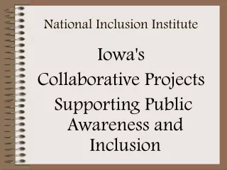National Inclusion Institute