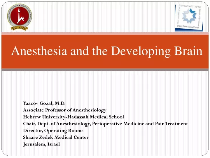 Anesthesia And The Developing Brain N 