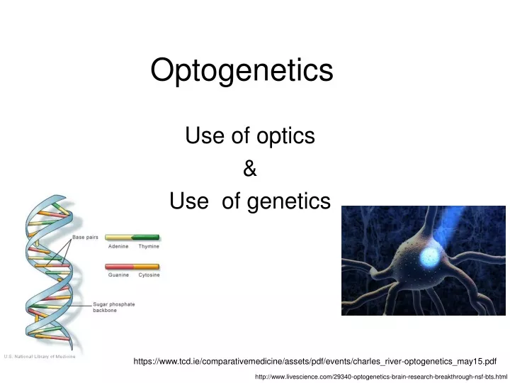 optogenetics