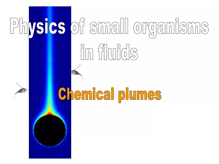 physics of small organisms in fluids