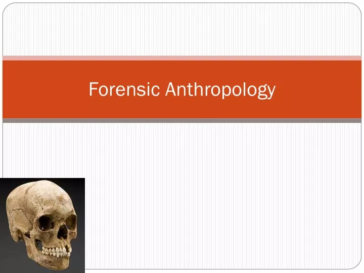 forensic anthropology