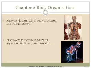 Chapter 2 Body Organization