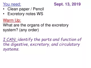 You need: Clean paper / Pencil Excretory notes WS Warm Up: